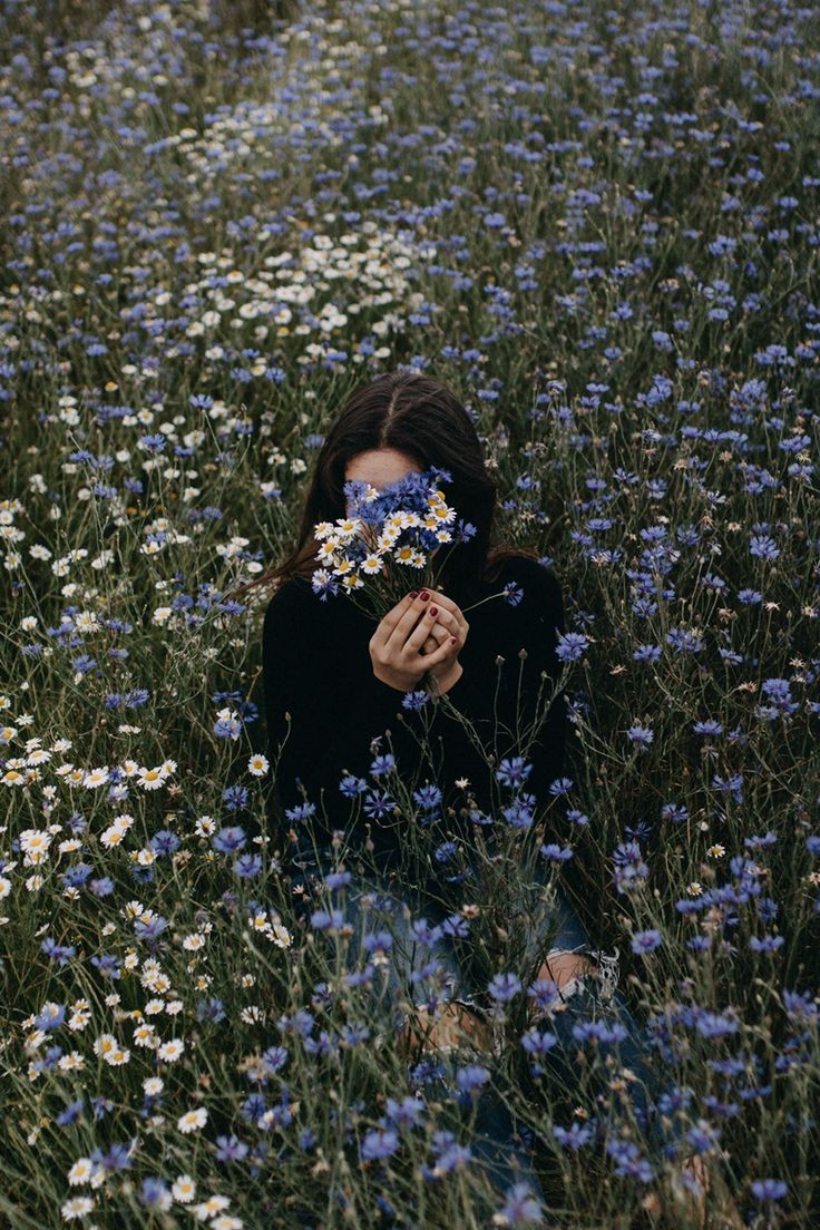 پنجره‌ای رو به مهتاب... About Img